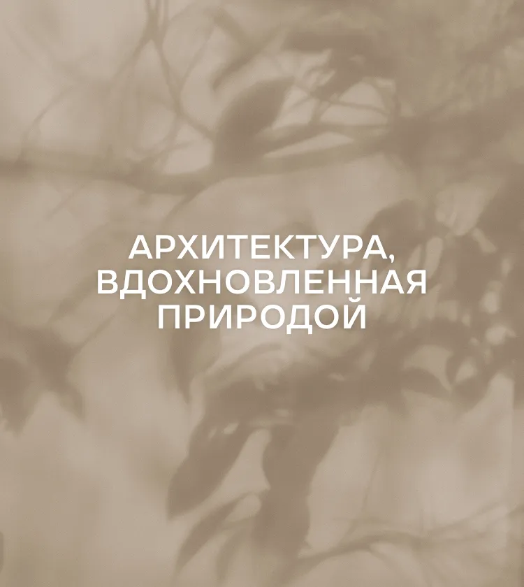 Слоган компании Интеллект