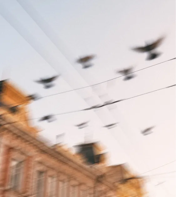 Провинциалы — проект 3