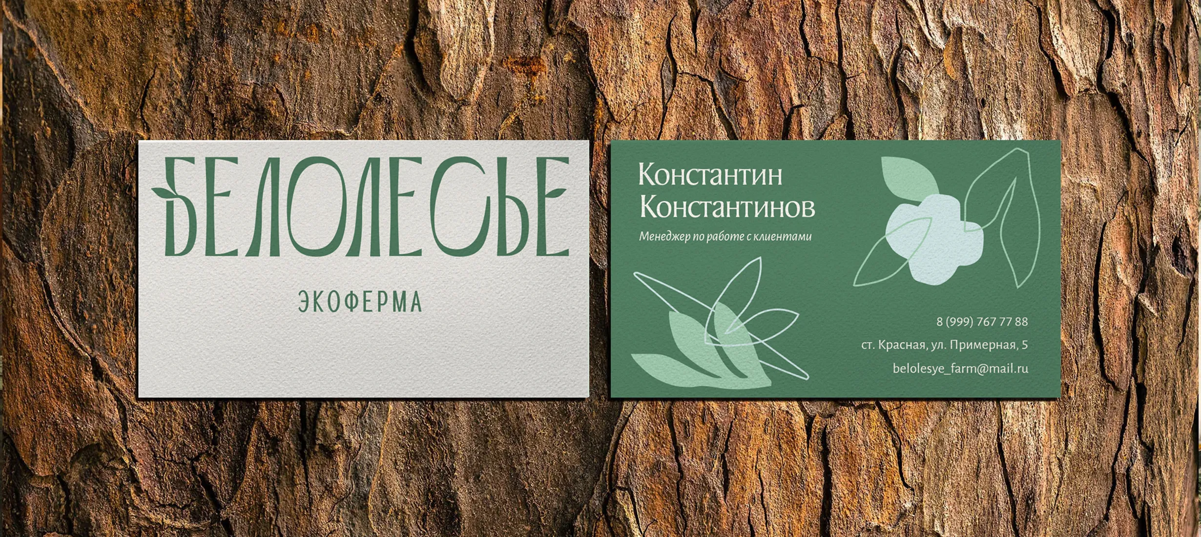 Белолесье — проект 2