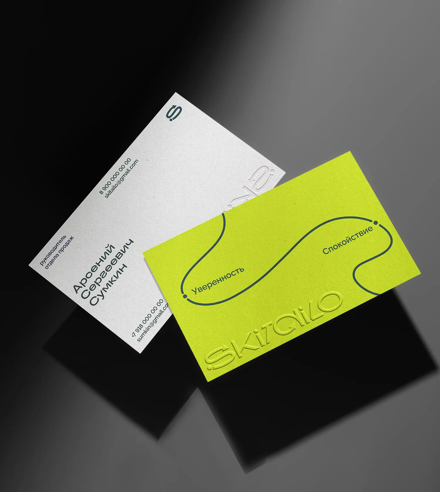 визитки компании Skitailo