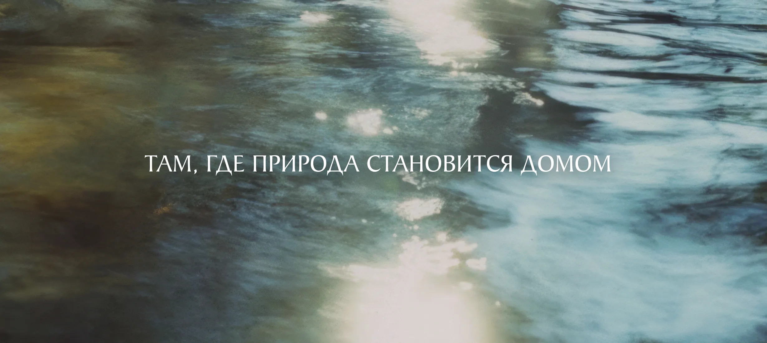 Белолесье — проект 3