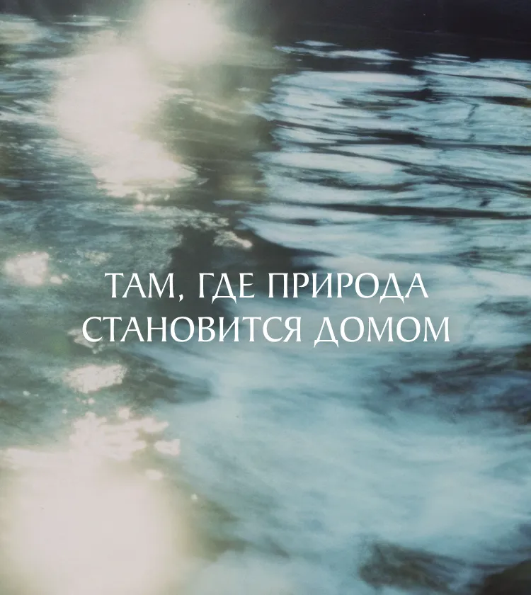 Белолесье — проект 4