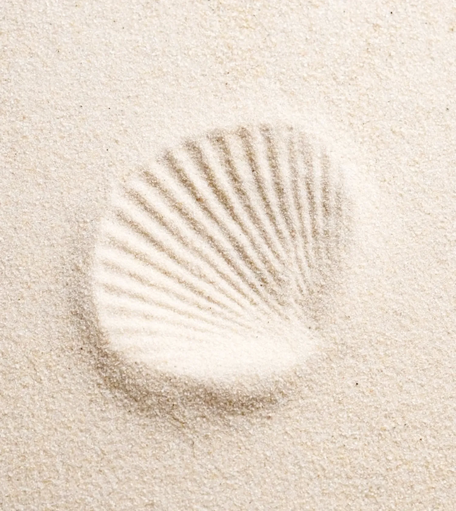 След от ракушки на песке