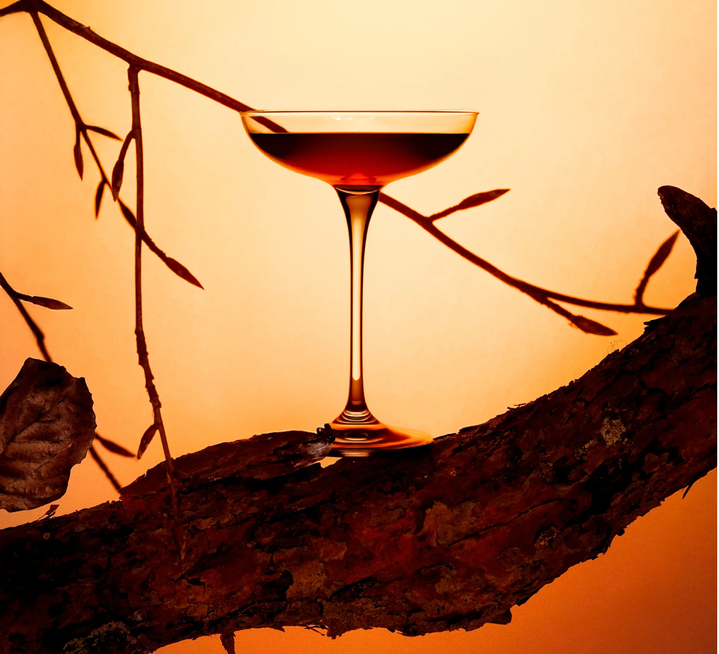 Jazz Kissa — проект 7