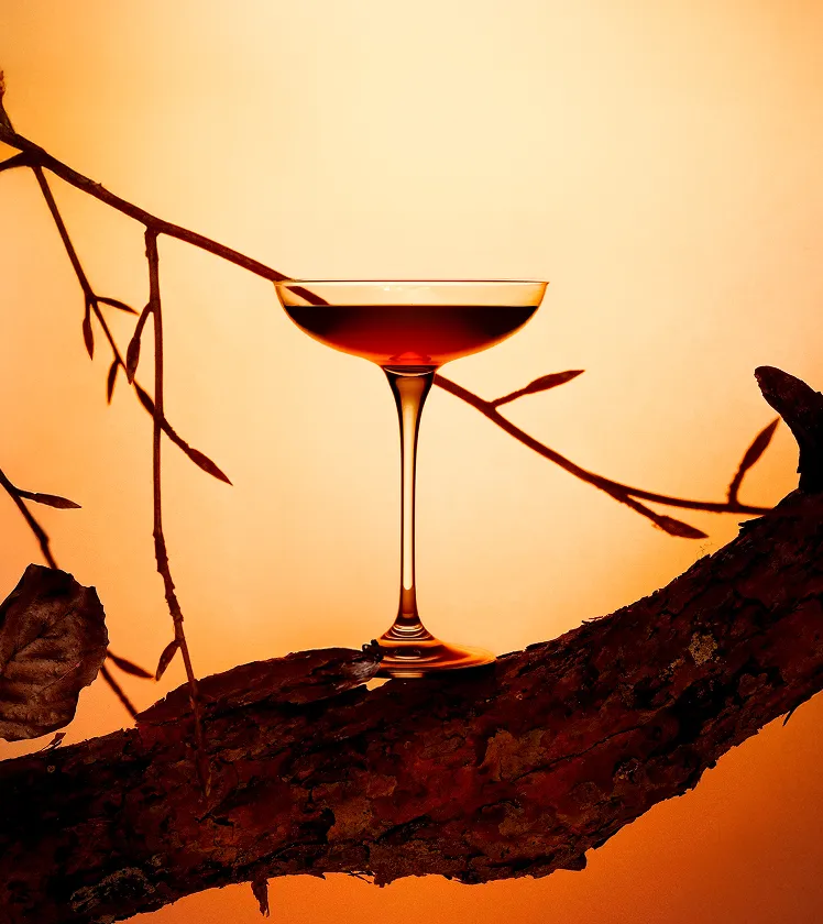 Jazz Kissa — проект 7