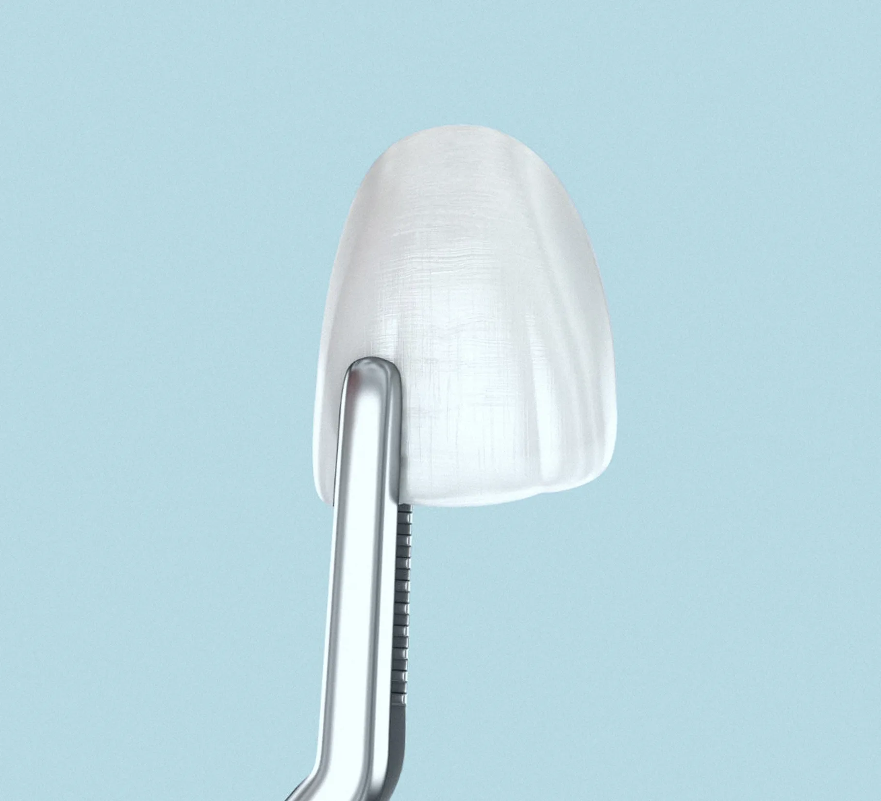 Пинцет держит винир