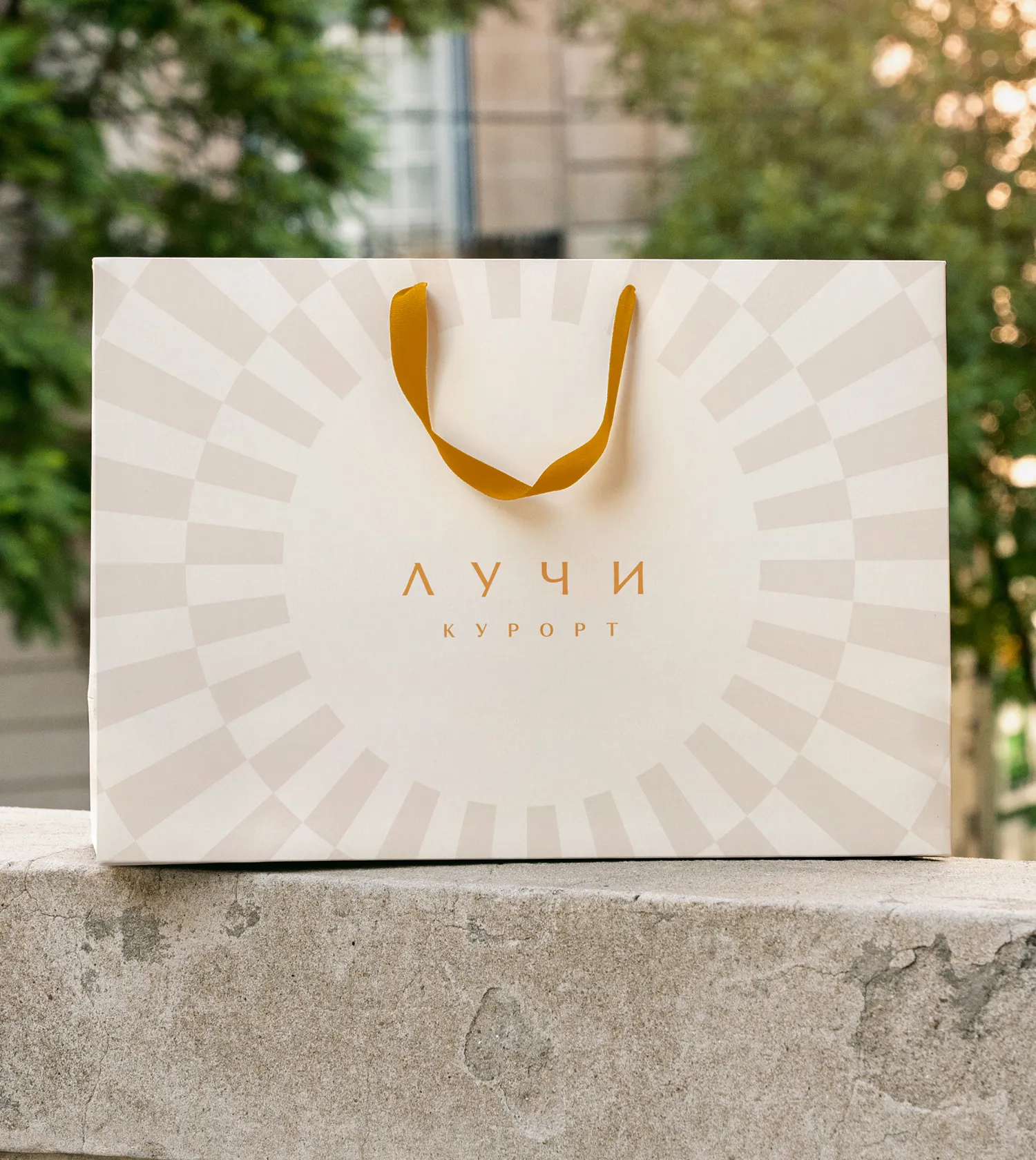 Фирменный пакет курорта Лучи