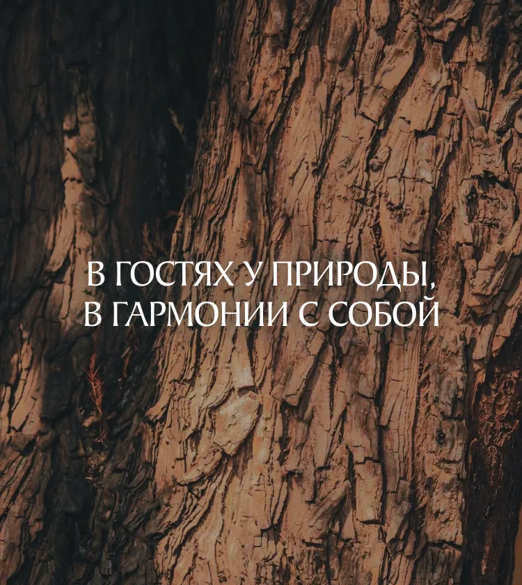 Белолесье — проект 10