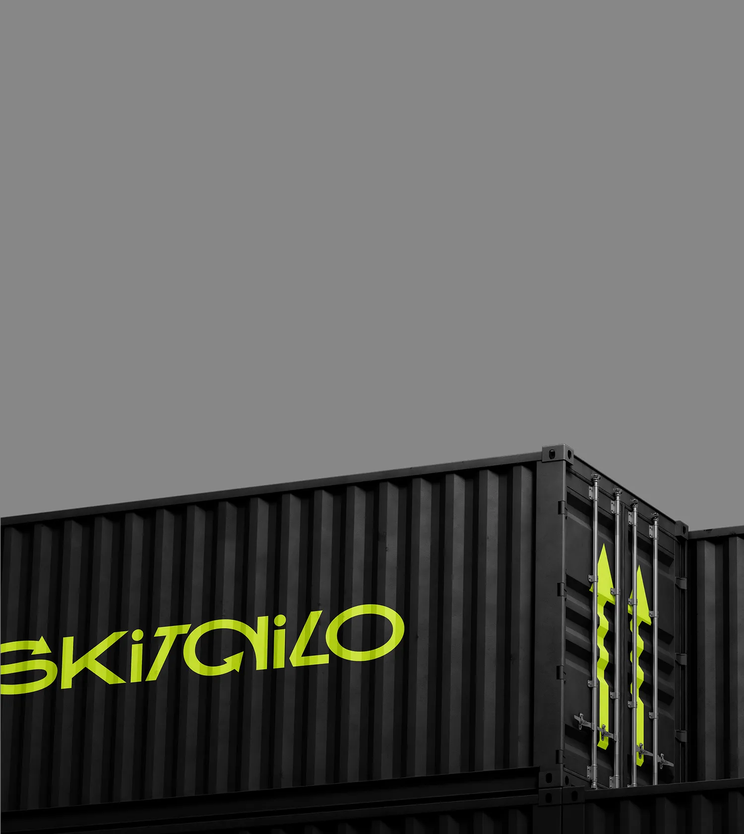 Брендированный контейнер компании Skitailo